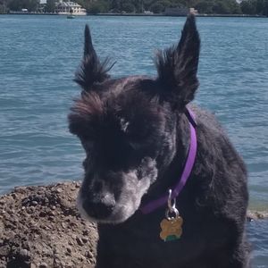 Meet your Posher, Scott